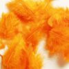 Fjer og dun i orange til Halloween pynt - Stort udvalg af hobbymaterialer til halloween