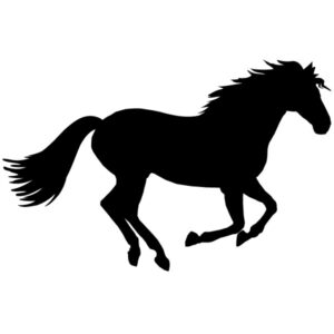 Wallsticker hest - Stort udvalg af heste wallstickers