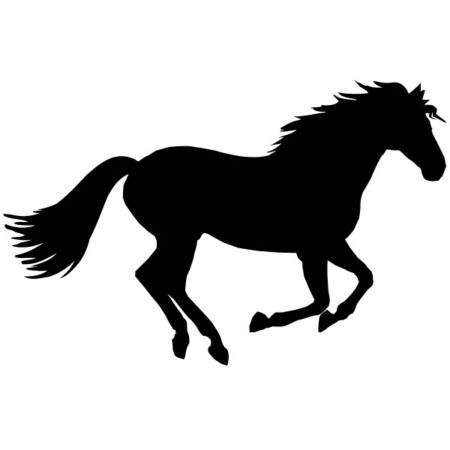 Wallsticker hest - Stort udvalg af heste wallstickers
