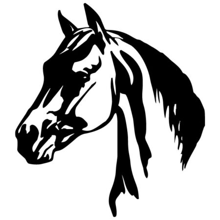 wallsticker hest - Stort udvalg af heste wallstickers