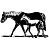 Wallsticker heste - Stort udvalg af heste wallstickers